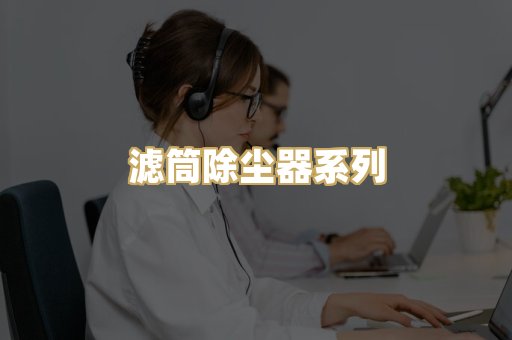 滤筒除尘器系列