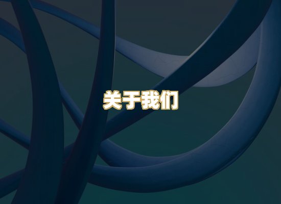 关于我们